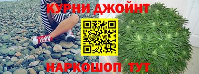 сатива Беслан