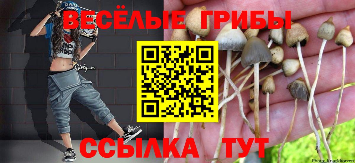 Жуковский  Псилоцибиновые грибы Psilocybine cubensis  Вход с VPN 
